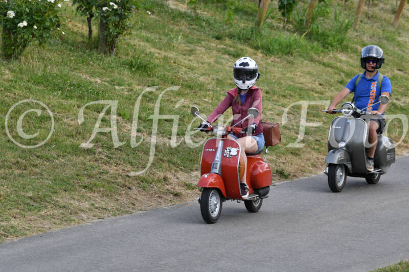 dsc_4547-standard-34rbah.jpg
