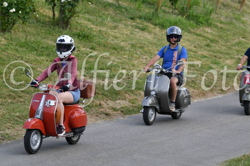 dsc_4549-standard-k6vljh.jpg