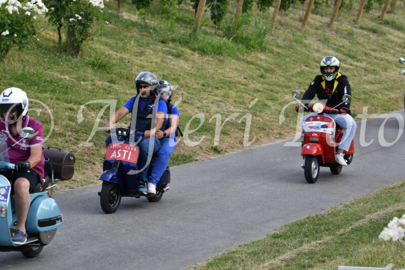 dsc_4568-standard-w8p8vl.jpg