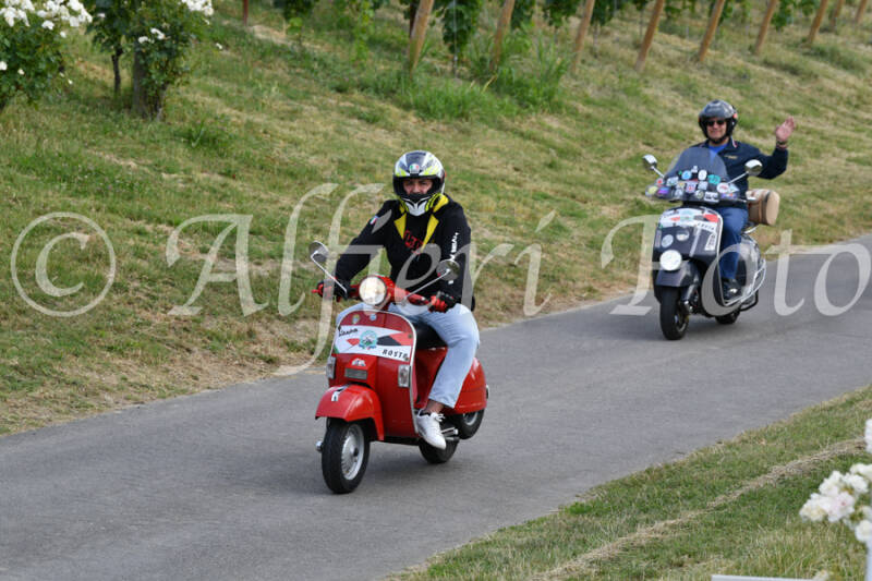 dsc_4572-standard-j7ccaq.jpg