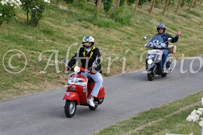 dsc_4573-standard-5v31jb.jpg