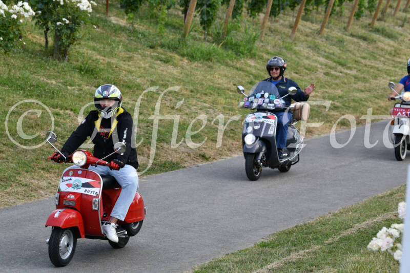 dsc_4574-standard-fsvek9.jpg