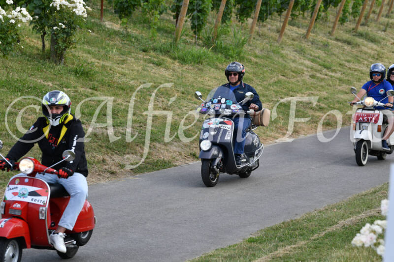 dsc_4575-standard-sg7vme.jpg