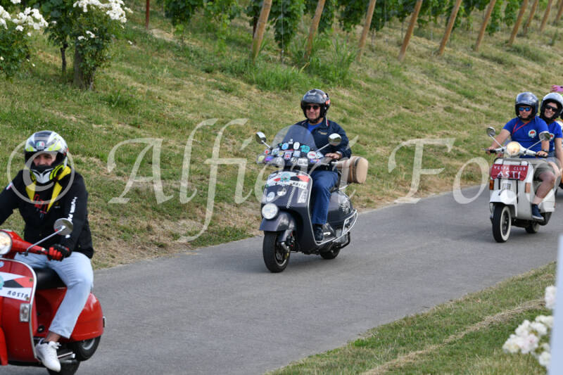 dsc_4576-standard-eev9zn.jpg