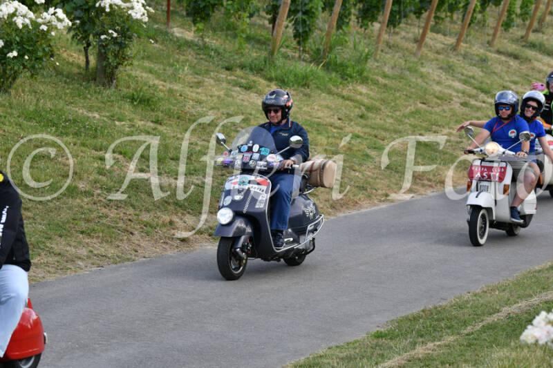 dsc_4577-standard-hoby6s.jpg