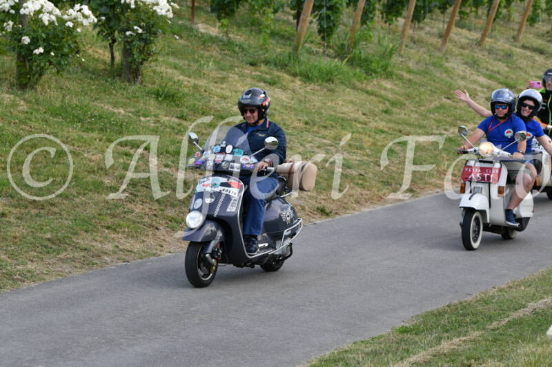 dsc_4578-standard-op0f6r.jpg
