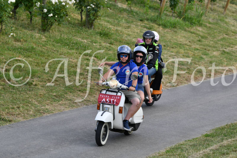 dsc_4583-standard-7v8a60.jpg