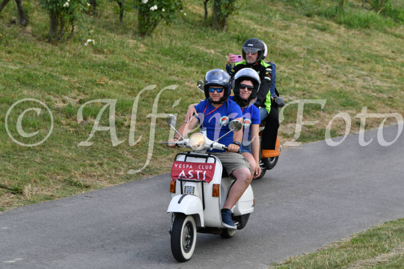 dsc_4585-standard-4sb0d0.jpg