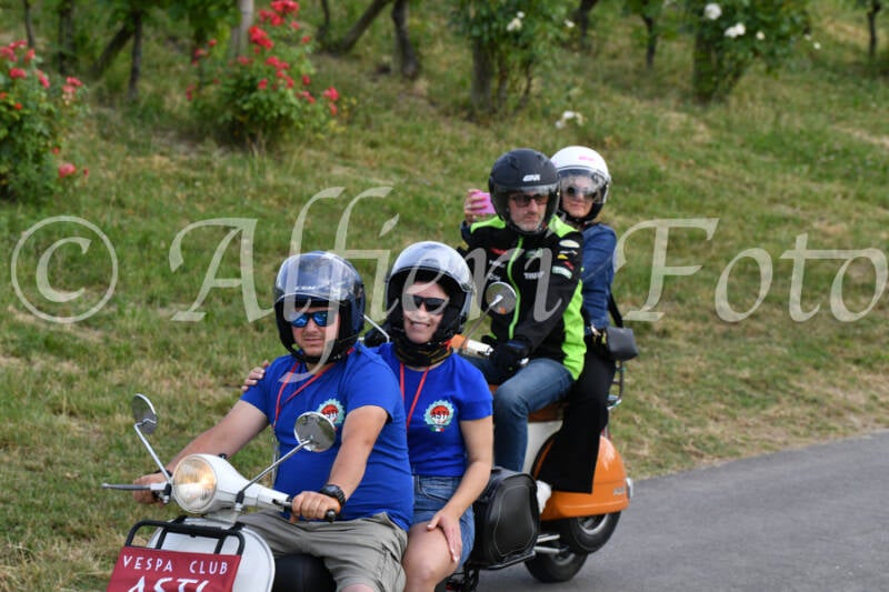dsc_4588-standard-zxf91k.jpg
