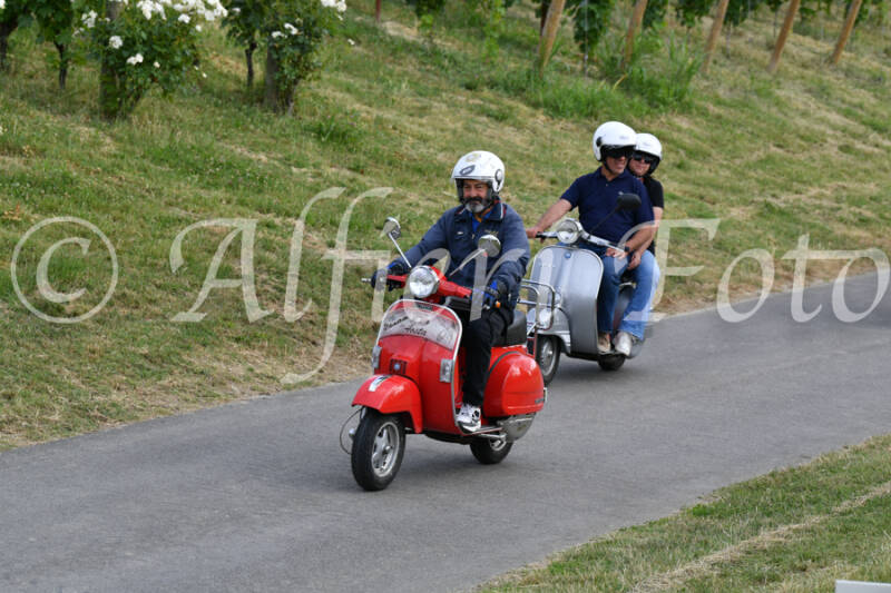 dsc_4595-standard-l81qek.jpg