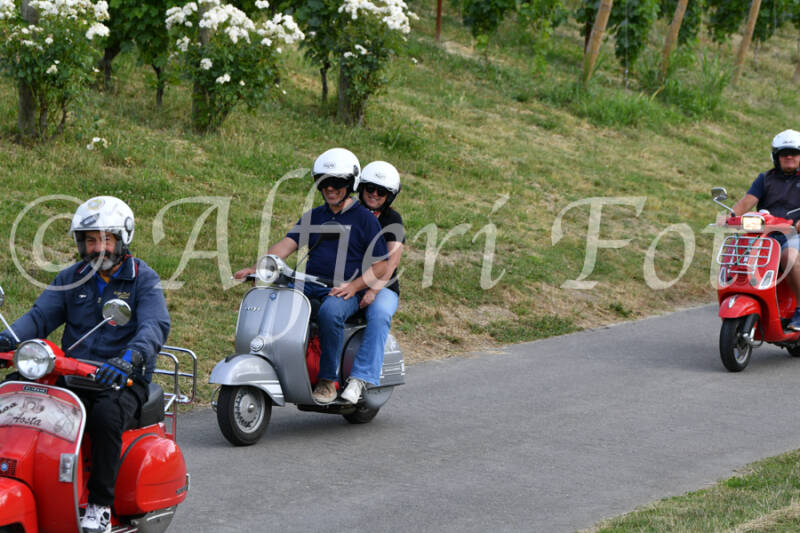 dsc_4598-standard-rdaaha.jpg