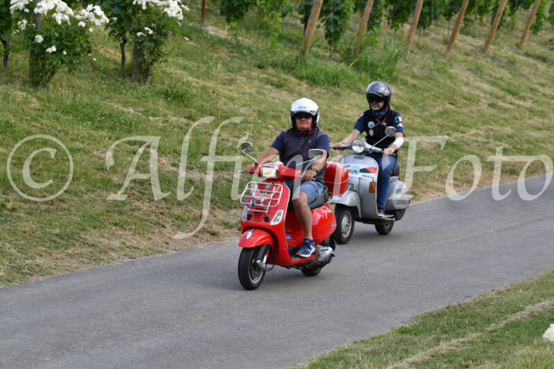 dsc_4600-standard-4b47kb.jpg