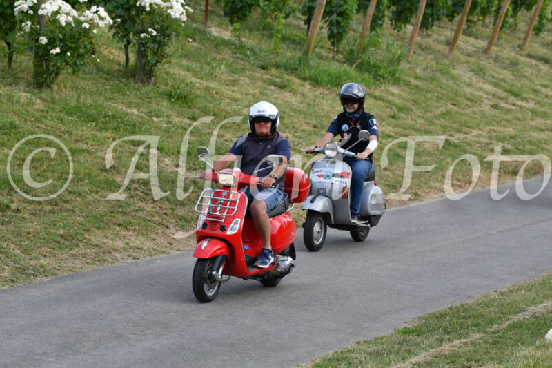 dsc_4601-standard-evrqo6.jpg