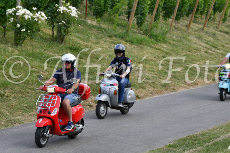 dsc_4603-standard-kopeaq.jpg