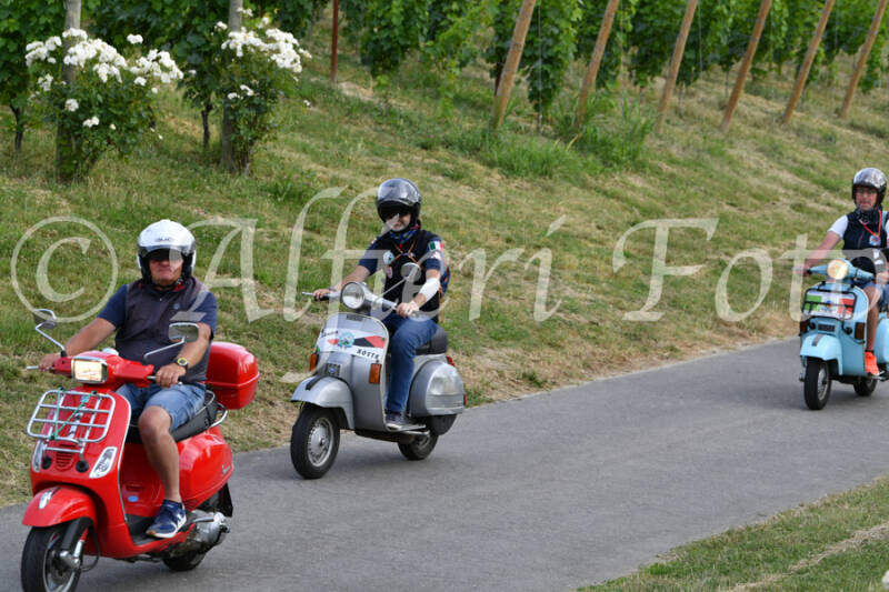 dsc_4604-standard-n40g8y.jpg