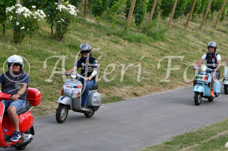 dsc_4605-standard-kr9sxv.jpg