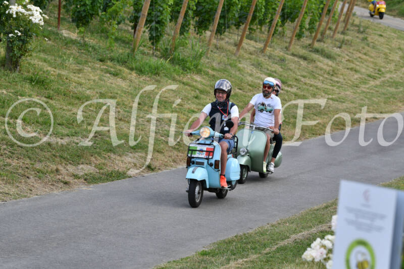dsc_4608-standard-wzeg00.jpg