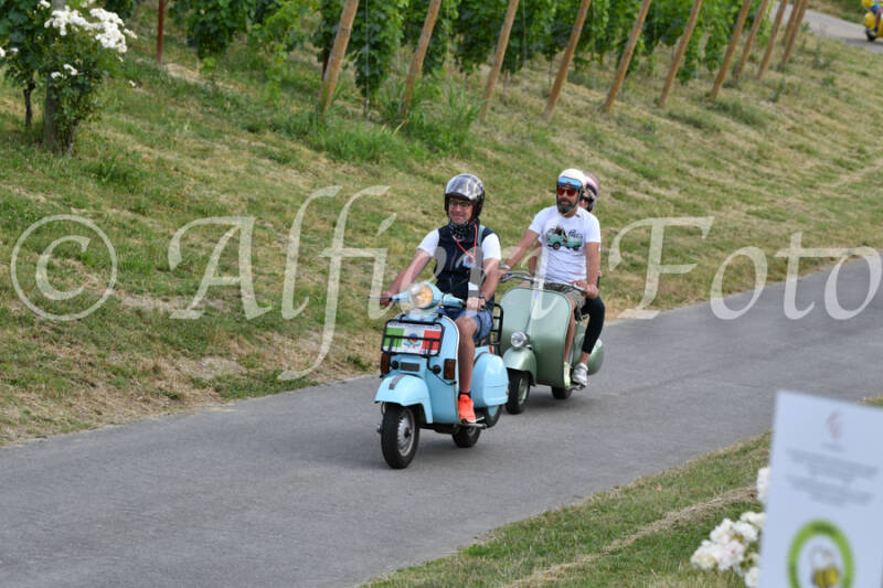 dsc_4609-standard-2ac64k.jpg