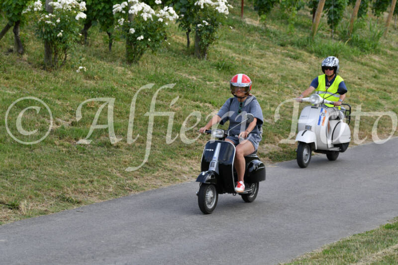 dsc_4620-standard-ce149w.jpg