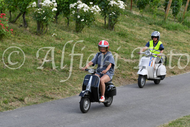 dsc_4621-standard-e7g1m3.jpg