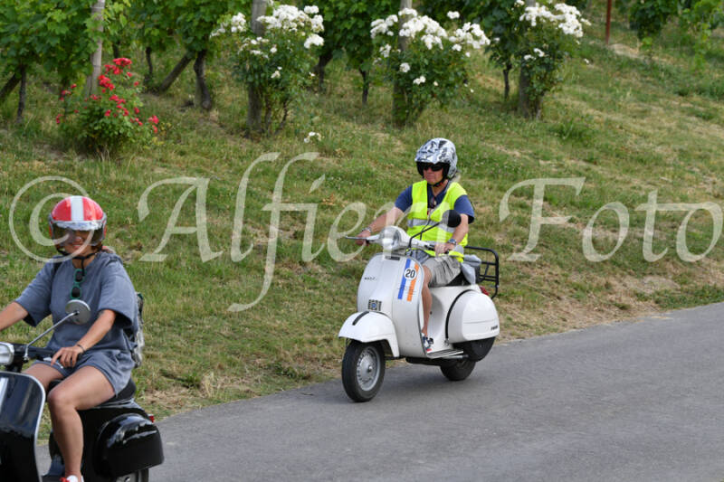 dsc_4622-standard-w1zjb3.jpg
