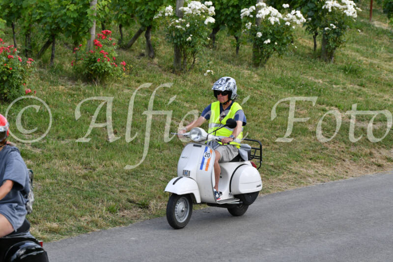 dsc_4623-standard-qhmtip.jpg
