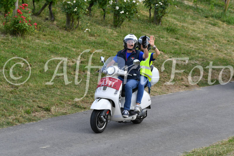 dsc_4627-standard-ydbv8p.jpg