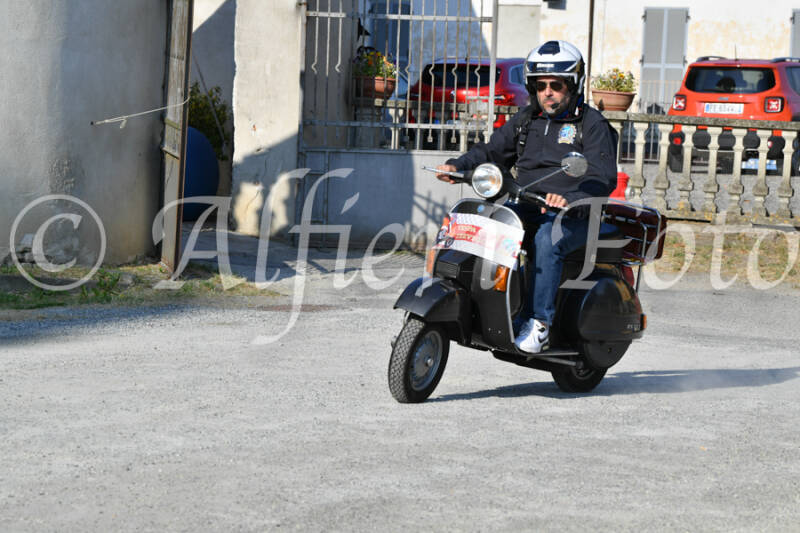 dsc_4646-standard-m2pw3k.jpg