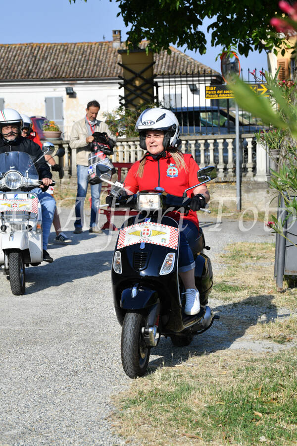 dsc_4663-standard-1jxmk1.jpg