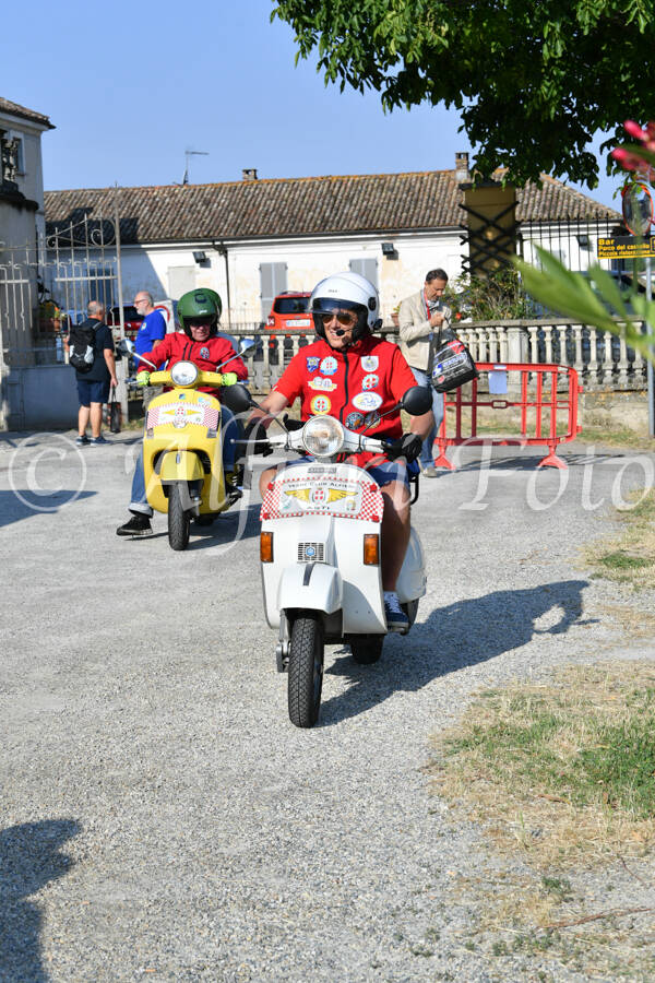 dsc_4666-standard-8qdb09.jpg