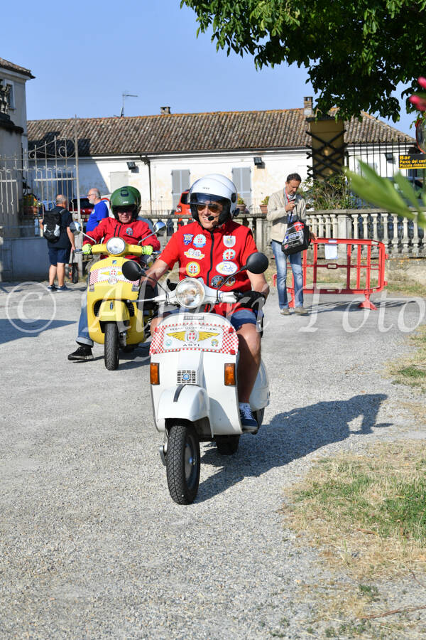dsc_4667-standard-r473sj.jpg