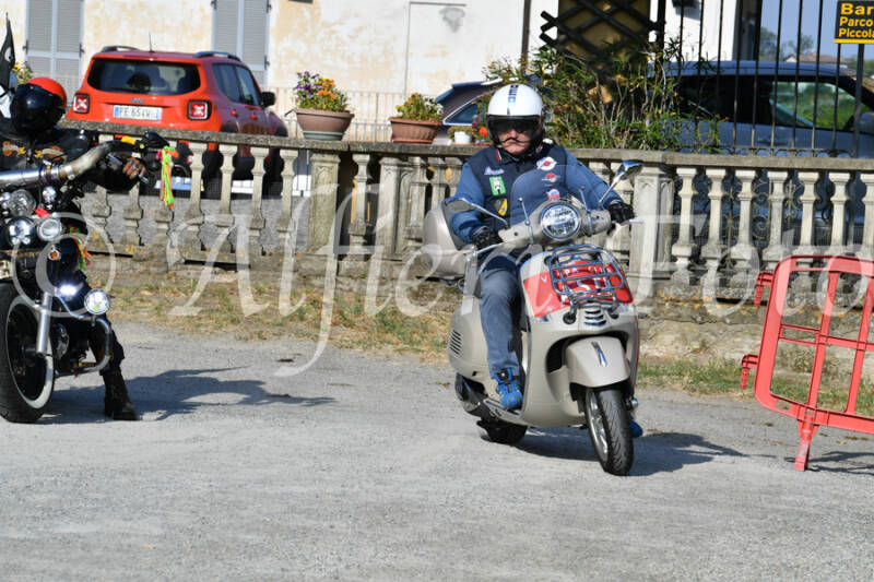 dsc_4679-standard-zd3gst.jpg