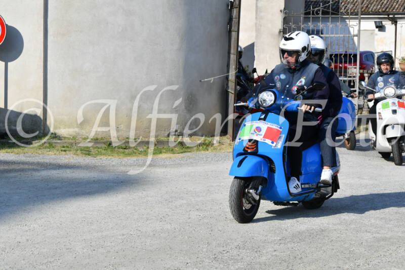 dsc_4688-standard-i1b9kx.jpg