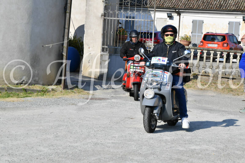 dsc_4706-standard-7xhgh7.jpg