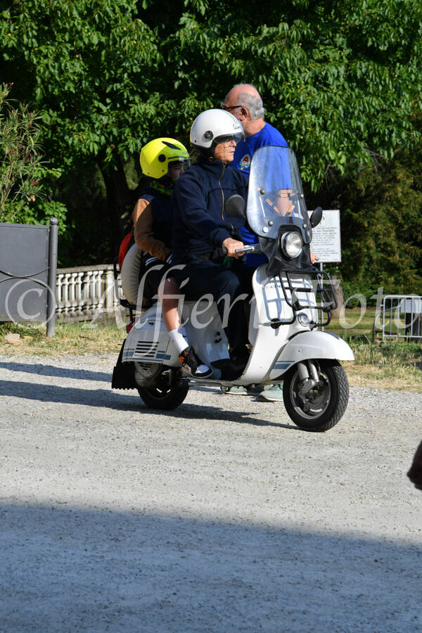 dsc_4730-standard-ifibho.jpg
