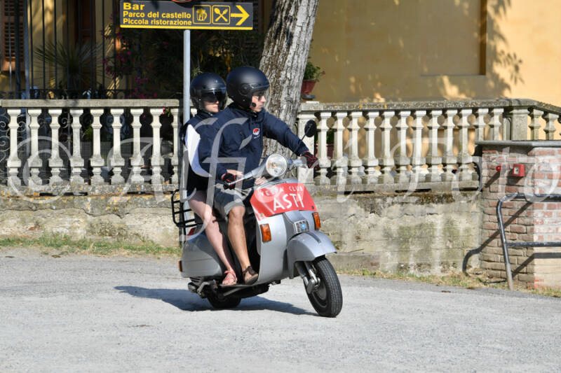 dsc_4740-standard-ycwt1q.jpg