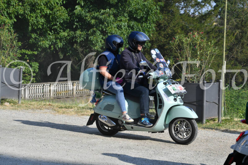 dsc_4779-standard-4efxfn.jpg