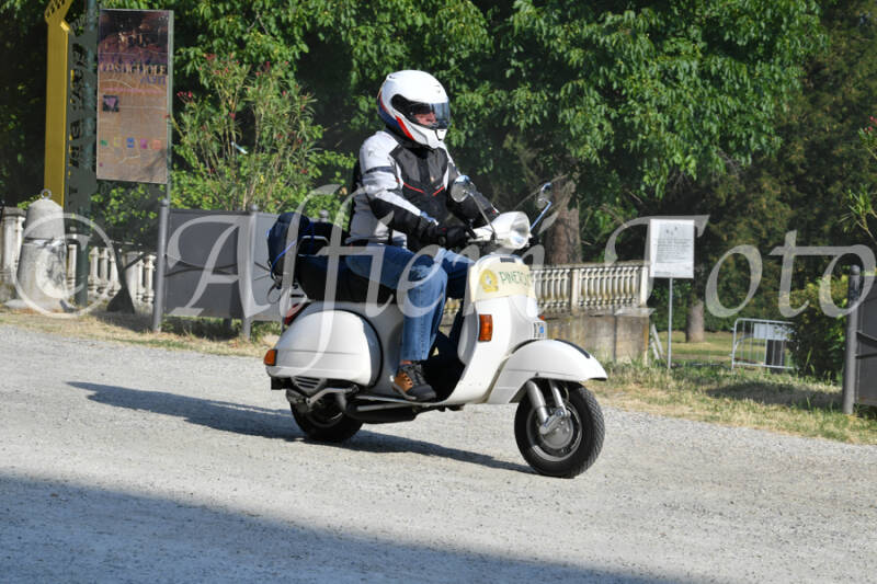 dsc_4784-standard-xr7zgy.jpg