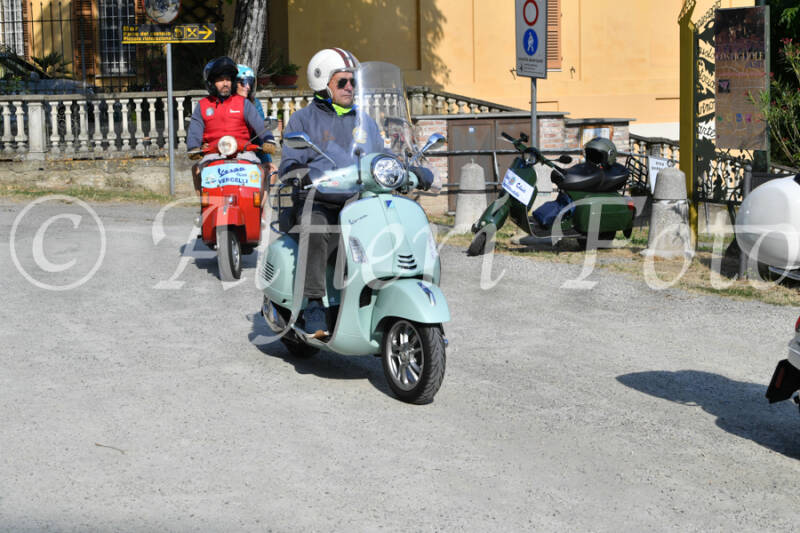 dsc_4827-standard-7zo4fb.jpg