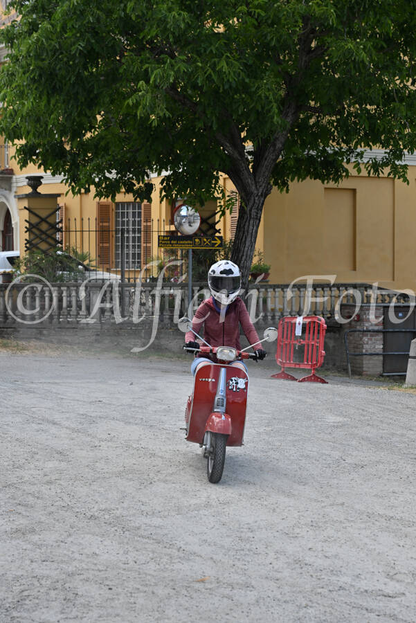 dsc_7219-standard-lrulgr.jpg
