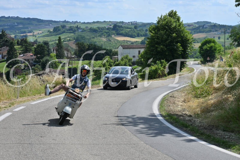 dsc_7255-standard-jqzgqf.jpg