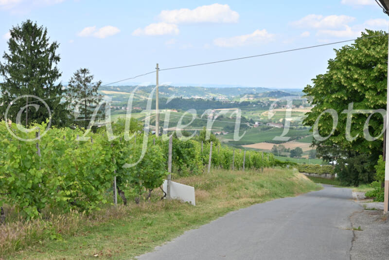 dsc_7256-standard-vv9rsv.jpg