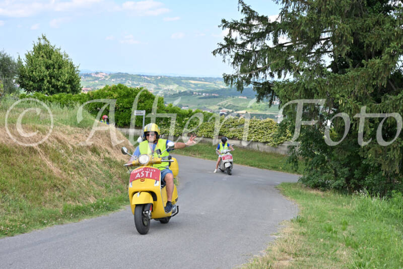 dsc_7270-standard-8xzyvq.jpg