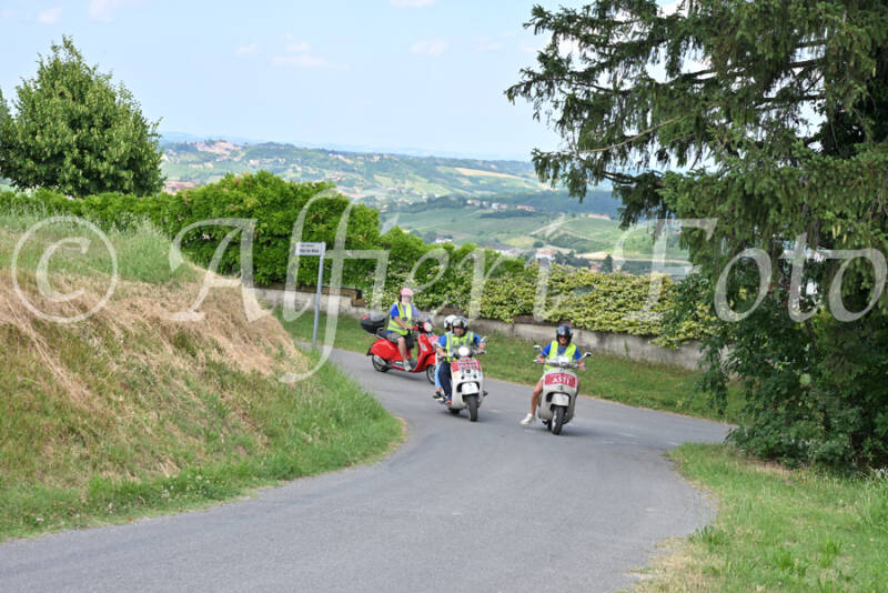 dsc_7276-standard-k3erqd.jpg