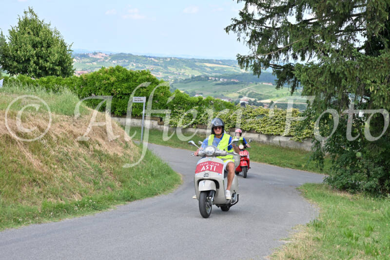 dsc_7282-standard-yz4b2s.jpg