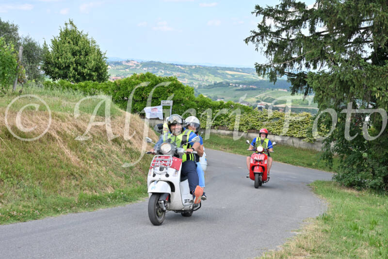 dsc_7289-standard-tt5zzr.jpg