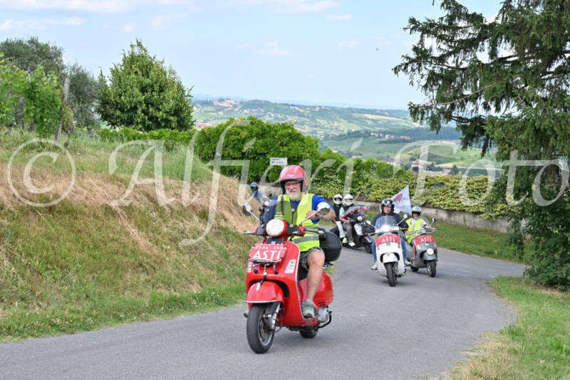 dsc_7298-standard-giyiib.jpg