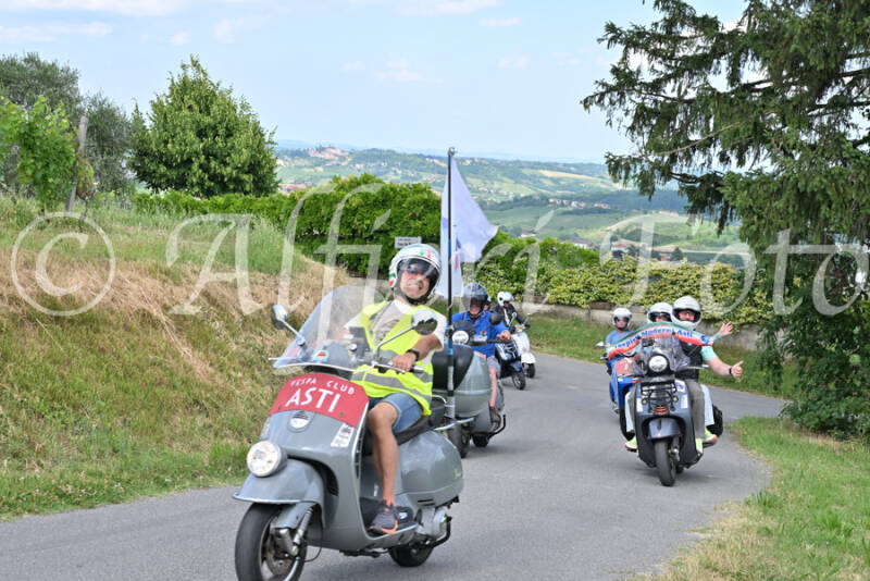 dsc_7311-standard-odjef1.jpg