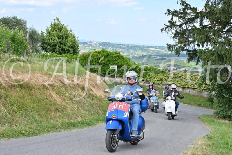 dsc_7322-standard-2jfnze.jpg