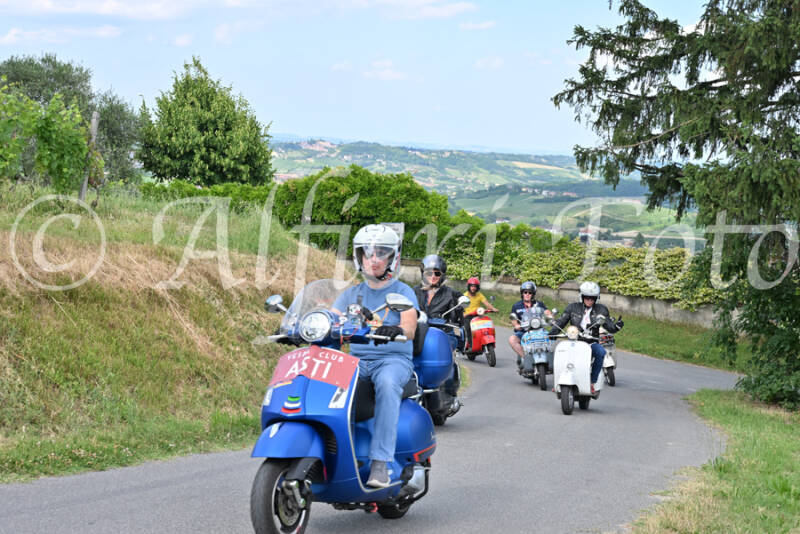 dsc_7323-standard-s1kvwh.jpg